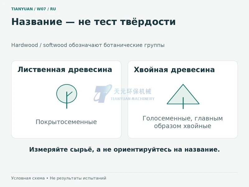 Измельчение лиственной и хвойной древесины: в чём различия?